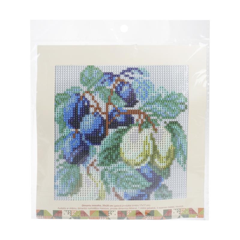 Pērļadatu komplekts ar rāmi, 20х20 cm