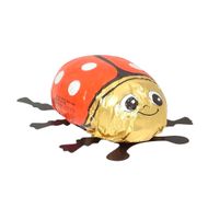 Šokolādes ola ar pārsteigumu Lady Bird, 55 g