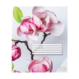 Rūtiņu burtnīca, 18 lapas