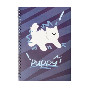 Rūtiņu klade ar spirali, A4, 80 lapas