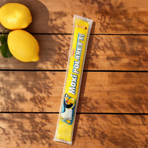 Sulas saldējums Dolfin Ice dažādas garšas, 50 ml