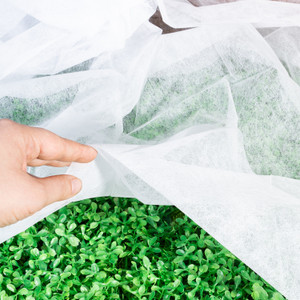 Augu aizsardzības audums