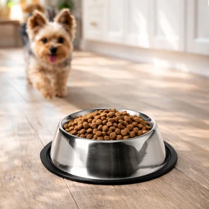 Bļoda mājdzīvniekiem