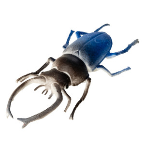 Augoša rotaļlieta, vabole