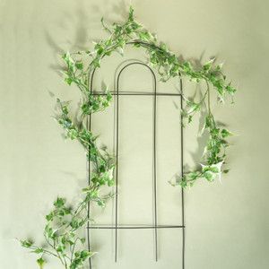 Augu atbalsts, 80x28 cm