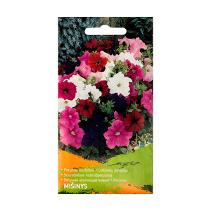 Ziedu sēklas, dažādi veidi