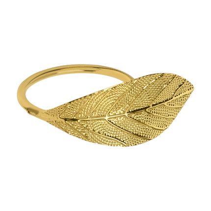 Salvešu gredzeni, 4 gab.