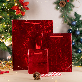 Dāvanu maisiņu komplekts, 3 gab.