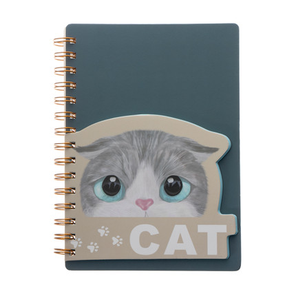 Piezīmju klade Kaķis, 80 lapas