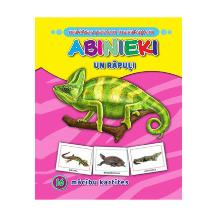 Apmācību kartiņas pašiem mazākajiem, dažādi veidi