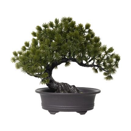 Mākslīgais augs Bonsai, 21 cm, dažādi veidi