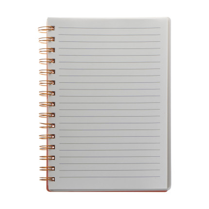 Piezīmju klade Kaķis, 80 lapas