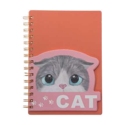 Piezīmju klade Kaķis, 80 lapas