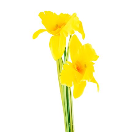 Mākslīgais zieds "Savvaļas orhideja"