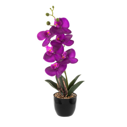 Dekors Orhideja podiņā