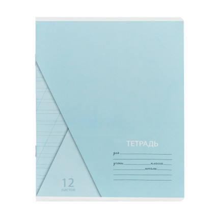 Rūtiņu vai līniju burtnīca, 12 lapas