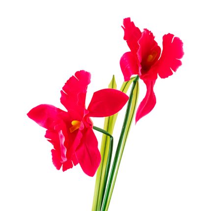 Mākslīgais zieds "Savvaļas orhideja"