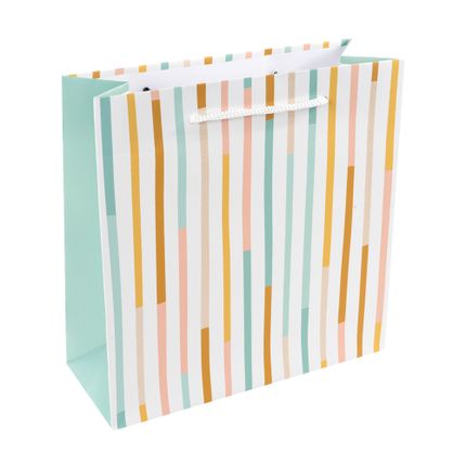 Dāvanu maisiņu komplekts, 2 gab., dažādi veidi