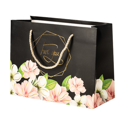 Dāvanu maisiņš, 23x17,7x10 cm, dažādi veidi