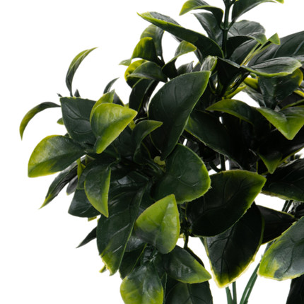 Dekoratīvs zars "Adagio"