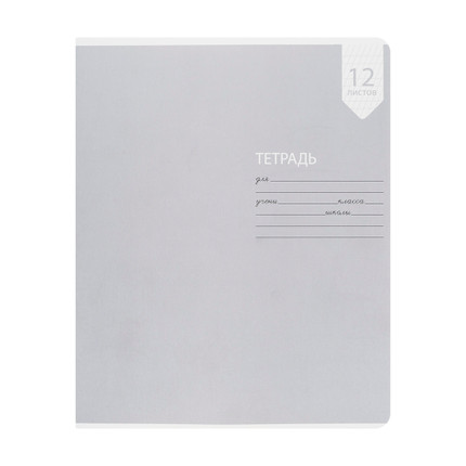 Rūtiņu vai līniju burtnīca, 12 lapas