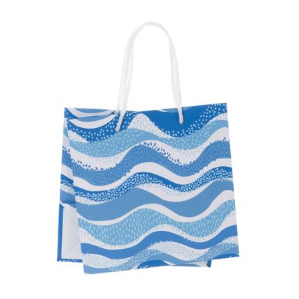 Dāvanu maisiņu komplekts, 2 gab., dažādi veidi