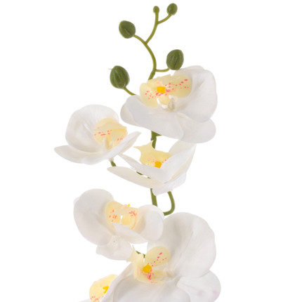 Dekors Orhideja podiņā