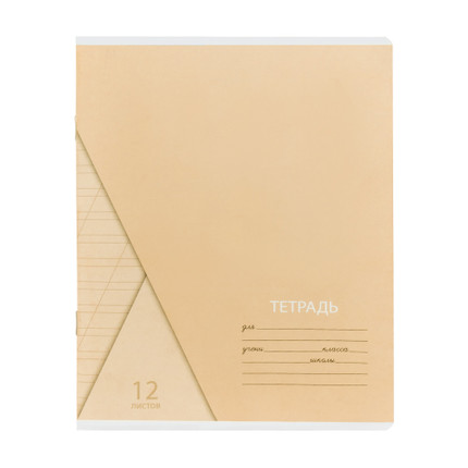 Rūtiņu vai līniju burtnīca, 12 lapas