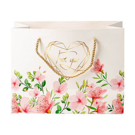 Dāvanu maisiņš, 23x17,7x10 cm, dažādi veidi