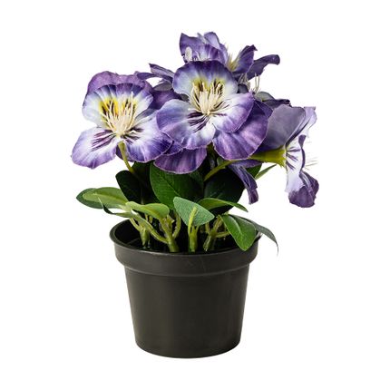 Mākslīgais zieds puķu podā, Atraitnīte, 15 cm