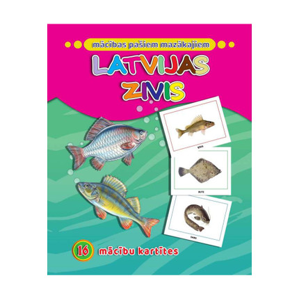 Apmācību kartiņas pašiem mazākajiem, dažādi veidi