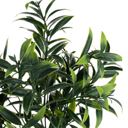 Dekoratīvs zars "Adagio"