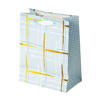 Dāvanu maisiņš 18x23x10 cm