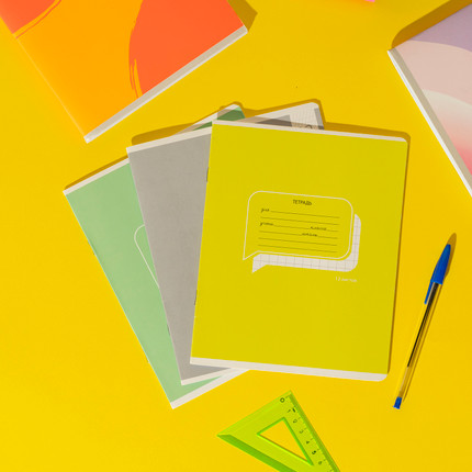 Rūtiņu vai līniju burtnīca, 12 lapas