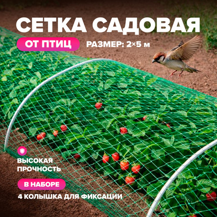 Siets dārza augiem ar 4 stiprinājumiem, 2x5 m
