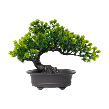 Mākslīgais augs Bonsai, 21 cm, dažādi veidi