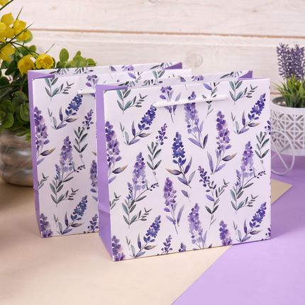 Dāvanu maisiņu komplekts, 2 gab., dažādi veidi