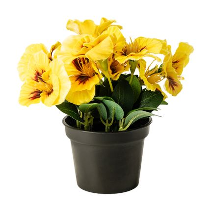 Mākslīgais zieds puķu podā, Atraitnīte, 15 cm