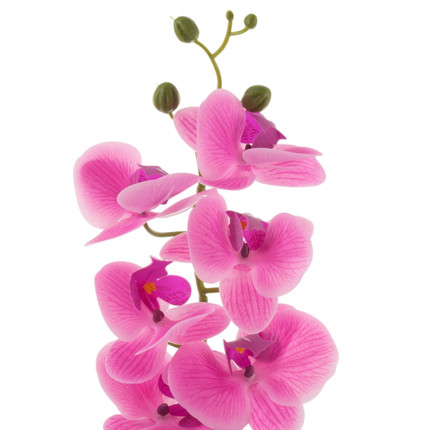 Dekors Orhideja podiņā