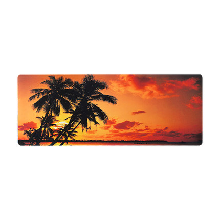 Tastatūras paliktnis, 30x80 cm, dažādi veidi