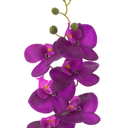 Dekors Orhideja podiņā