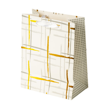 Dāvanu maisiņš 18x23x10 cm