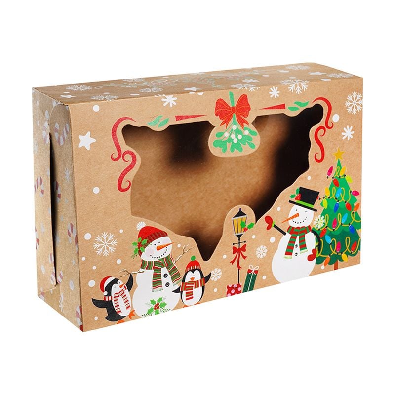 Dāvanu kaste, 25x15x7cm