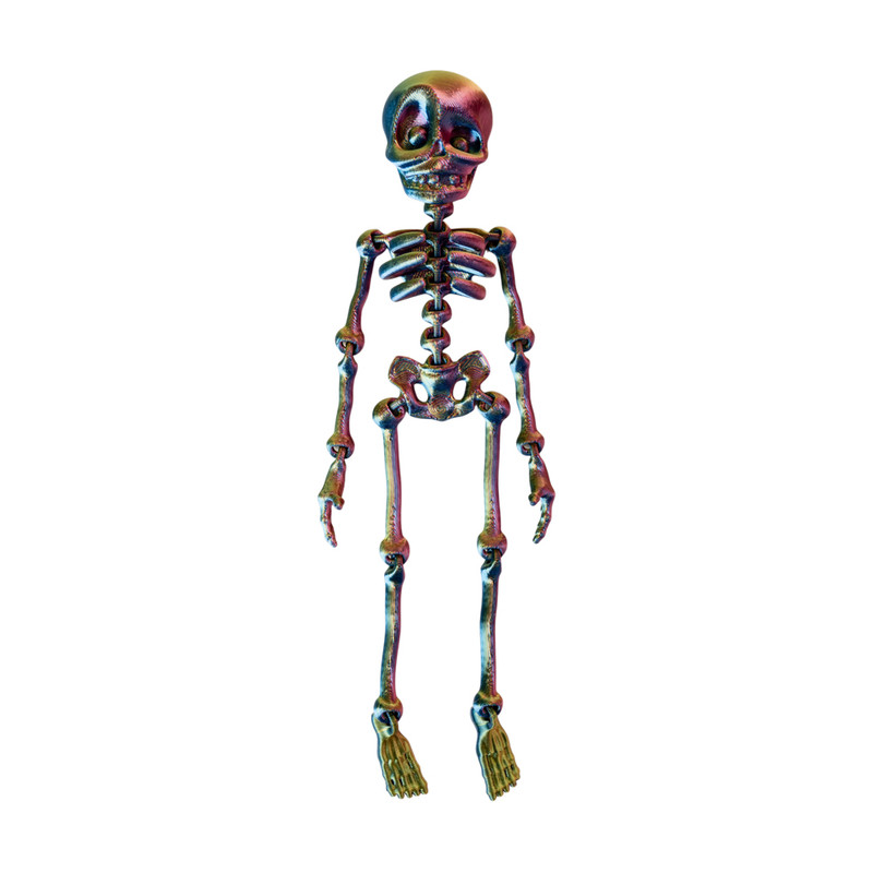 Skeleta magnēts