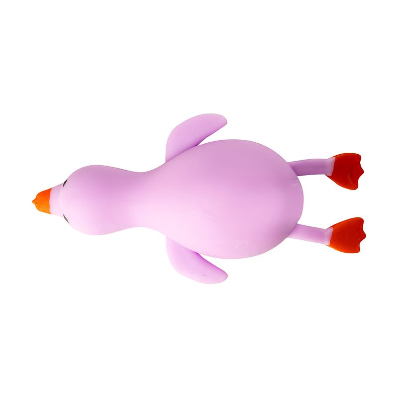 Nūrciņš, zoss