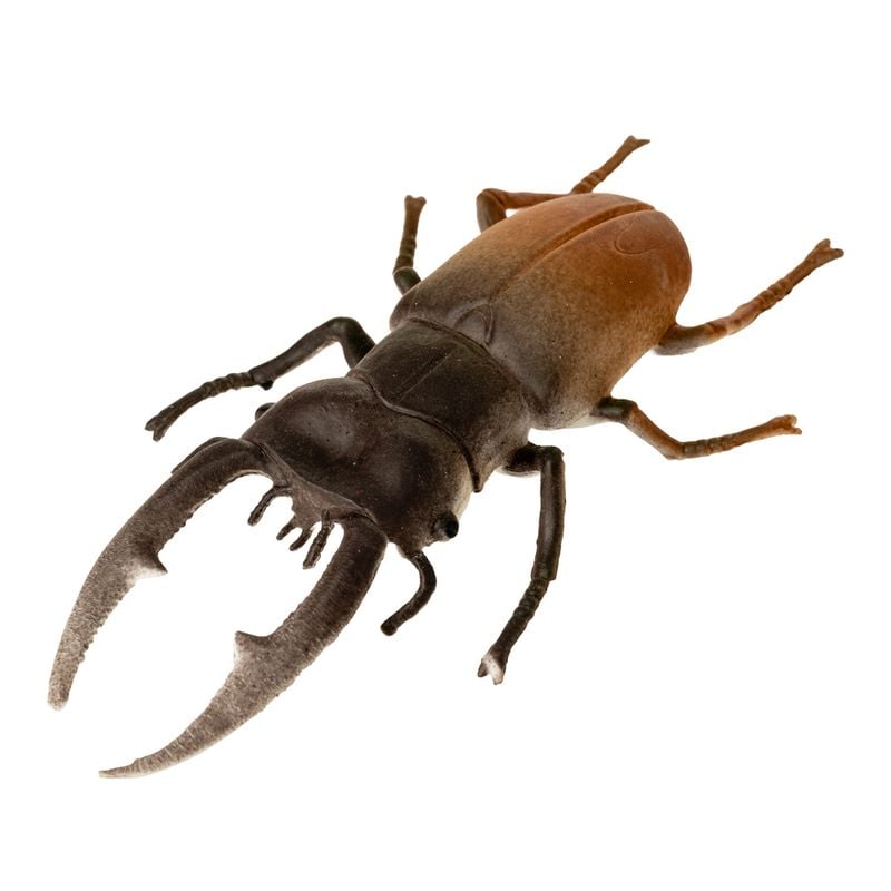 Augoša rotaļlieta, vabole