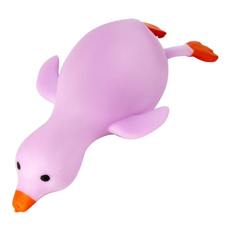 Nūrciņš, zoss
