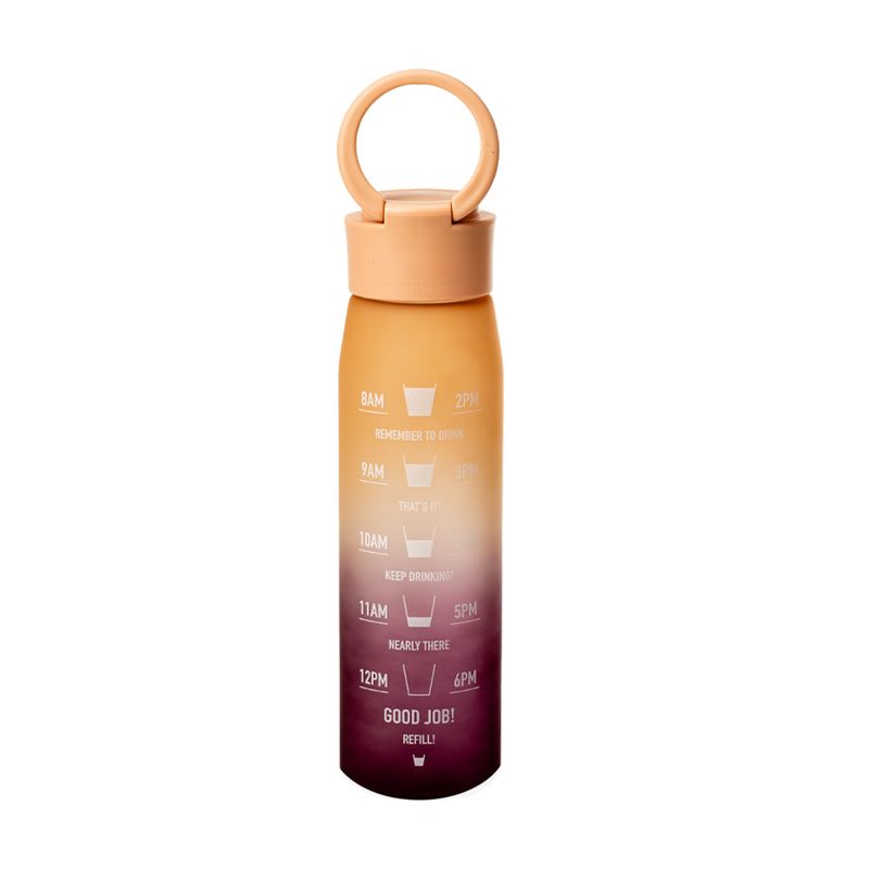 Sporta pudele, 500 ml
