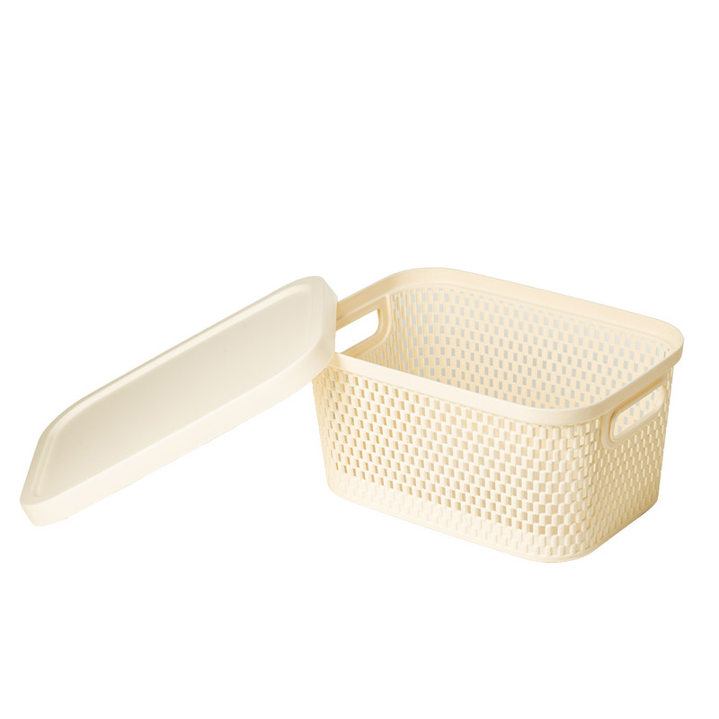 Uzglabāšanas kaste, 24х17х12 cm
