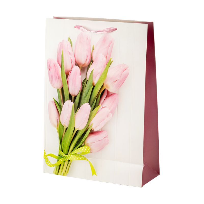 Dāvanu maisiņš, 31x44x12cm